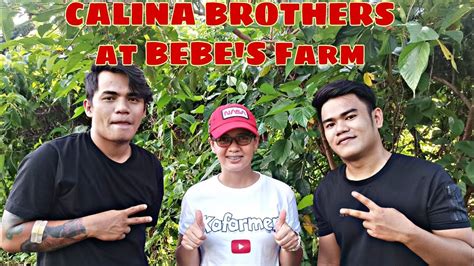 calina brothers|calina brothers tiktok.